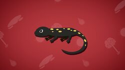 Drought Facts Instructional Video