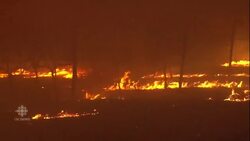 Raging wildfire forces mandatory evacuations in California News Clip