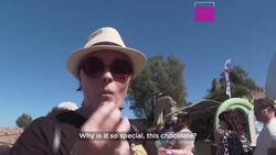 A huge bar of viral Dubai chocolate steals the show at a festival in Portugal News Clip