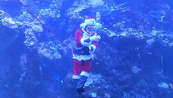 Scuba Santa dives in San Francisco aquarium Instructional Video