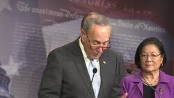 Schumer: Still no deal on trial witnesses Instructional Video