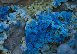 Lixiviación Instructional Video