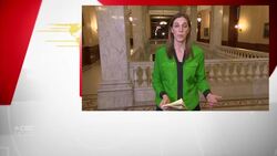 Ontario declares state of emergency over COVID-19 News Clip