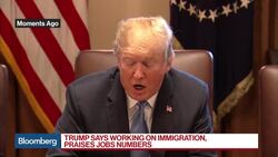 Trump Orders Agencies to Reunite Separated Immigrant Families News Clip