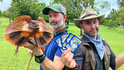 Would You Enter a Dragon Infested Park? Instructional Video