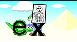 Xavier X-ray Follows Ethan Eel Instructional Video