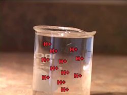 Introduction to Acids Instructional Video