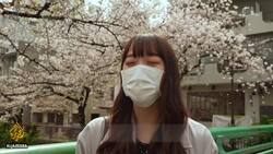 Japanese fear early cherry tree bloom linked to climate change News Clip