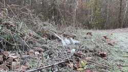 Ice Flower Instructional Video