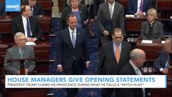 House Managers Make Opening Statements During Impeachment Trial News Clip