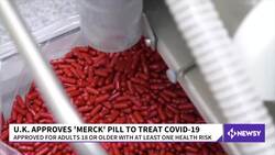 U.K. Approves Merck Antiviral Pill To Treat COVID-19 News Clip