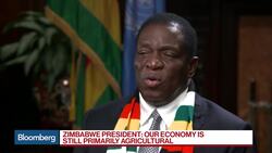 Zimbabwe's President Says Reforms Aim to Boost Economic Perception News Clip