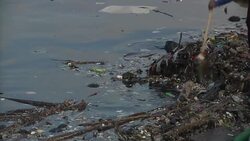 Hordes of volunteers remove trash from Manila Bay Instructional Video