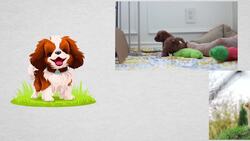 Why Can't Animals Talk Like Humans? Instructional Video