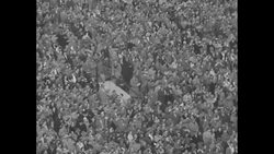 Notre Dame wins football game over unbeaten Oklahoma Sooners News Clip