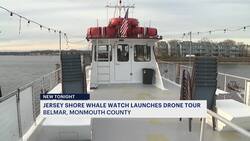New Jersey whale-watching business offers drone tour News Clip
