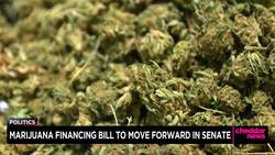 Marijuana Financing Bill to Move Forward in Senate News Clip