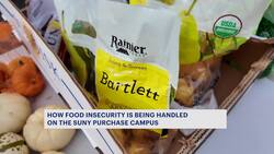 Mobile food pantry helping fight food insecurity at college News Clip