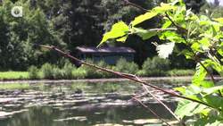 World's Most Famous Snapping Turtle Instructional Video
