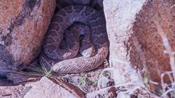 Winter Wonders: Exploring the Coldest Season Instructional Video