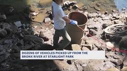 Getting magnetic: Volunteers fish e-bikes, metal debris from Bronx River News Clip
