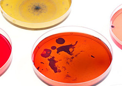 Medium Instructional Video