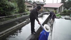 CLEAN : President Morales visits friends day before elections News Clip