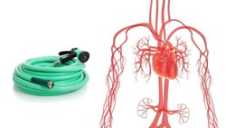 Peripheral Resistance and Blood Flow Instructional Video