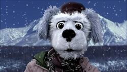 Animal Alphabet: S is for Snow Monkey Instructional Video