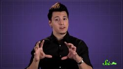 Why Don't Sleeping Bats Fall Down? Instructional Video