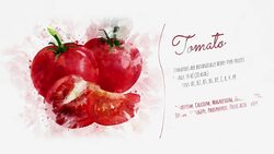 An animated card about Tomato Stock Footage