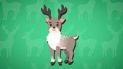 I WONDER - Why Do Reindeers Have Fur On Their Hooves? Instructional Video