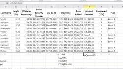 What Are Count Functions in Excel? Instructional Video