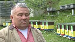 Bee keepers fear for the future of hives ahead of World Bee Day News Clip