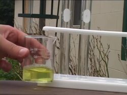 Investigating Mixtures, Solutions, Elements, and Compounds: Solutions in Action Instructional Video