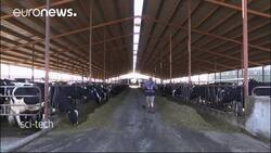 Methane gas threatening to slow efforts to slow climate change News Clip