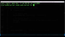 Express Framework Mastery: From Beginner to Advanced with Node.js - Requesting Web Server Data in Node with Curl Instructional Video