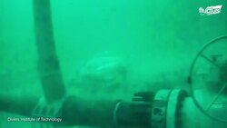 The Extreme Job of Repairing Costly Internet Cables Deep Underwate Instructional Video