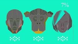 TED: The dangerous evolution of HIV | Edsel Salvaña Instructional Video