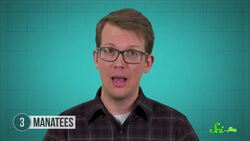 Life or Death Farts: How Animals Use Passed Gas Instructional Video