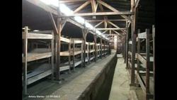 Werner Reich: How the magic of kindness helped me survive the Holocaust Instructional Video