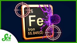 Targeting Iron to Fight Cancer | SciShow News Instructional Video