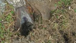 Lightning Trench Instructional Video