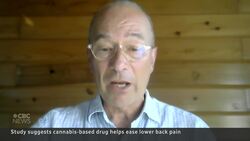 Cannabis-based drug may reduce lower back pain, research suggests News Clip