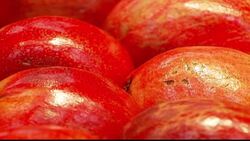 Wellbeing A-Z -immune system Instructional Video