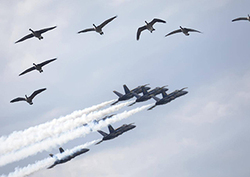 Sonic Boom - Breaking the Sound Barrier Instructional Video