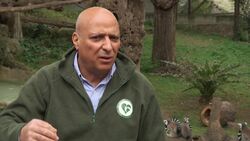 Rome zoo closes due to govt virus lockdown Instructional Video