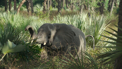 Healing the scars of war: the women rebuilding Mozambique's national park Instructional Video