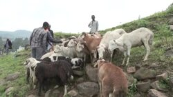 CLEAN : Ethiopians celebrate their new year amid high rising inflation News Clip