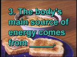 Digestion and Excretion Quiz Instructional Video